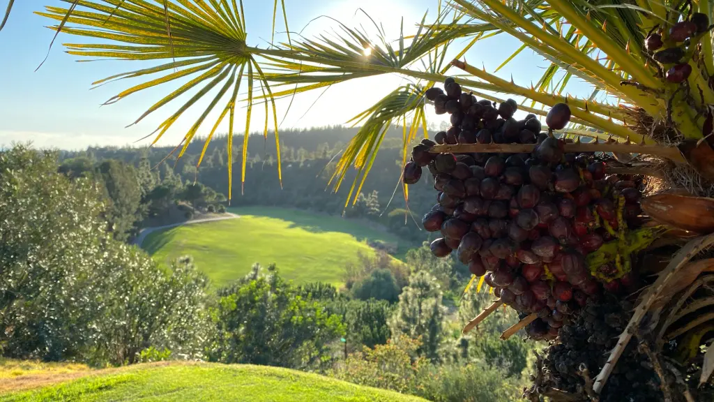Chaparral golf gallery 8.webp