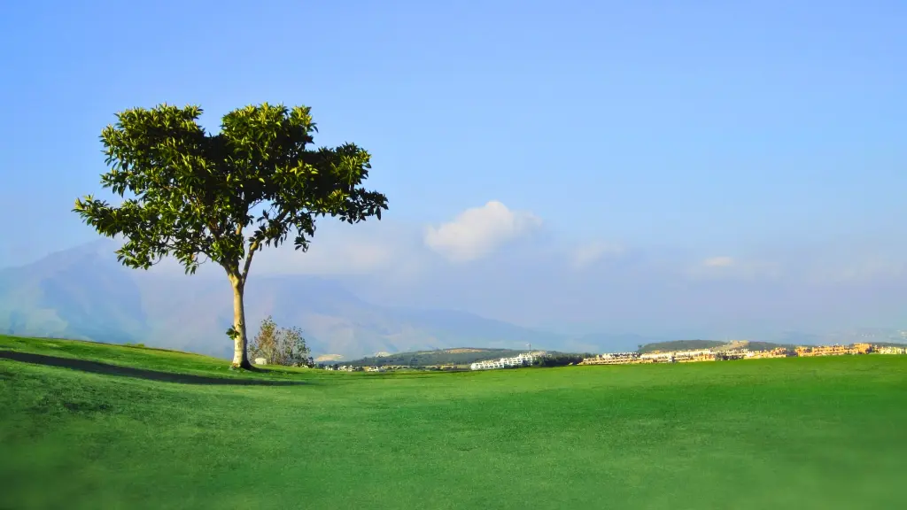 dona-julia-golf-11.webp