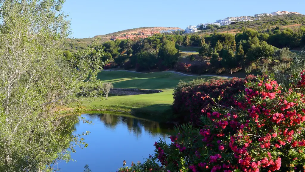dona-julia-golf-19.webp