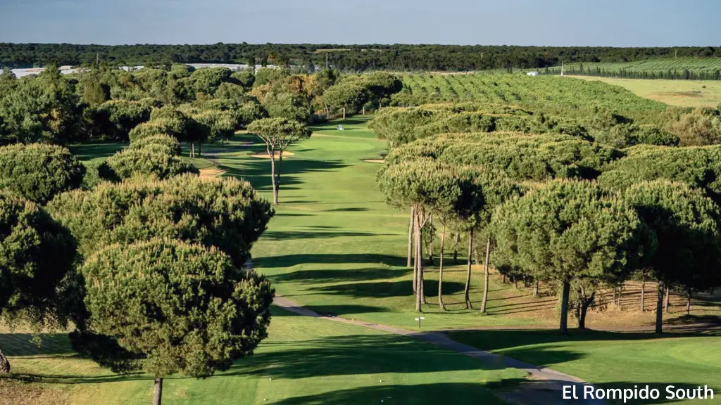 Rompido-south-8.webp