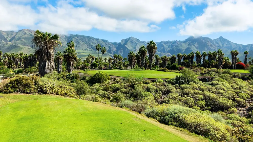 golf-costa-Adeje-25.webp