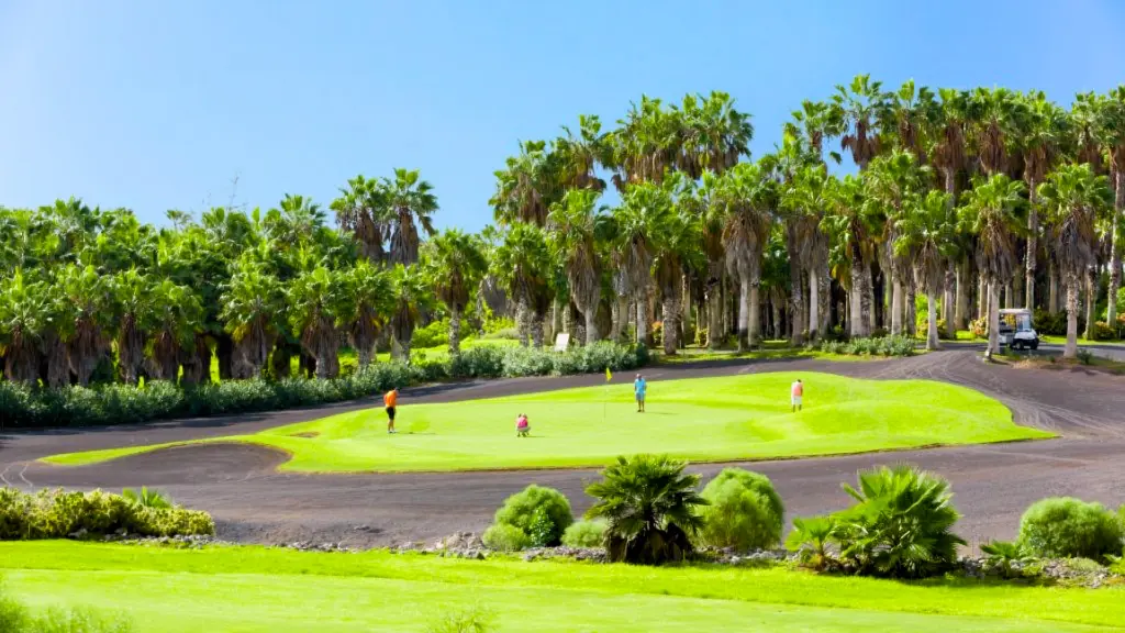 golf-del-sur-38.webp