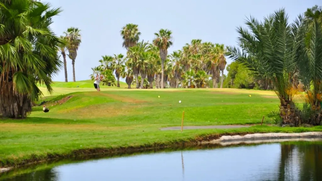golf-del-sur-21.webp