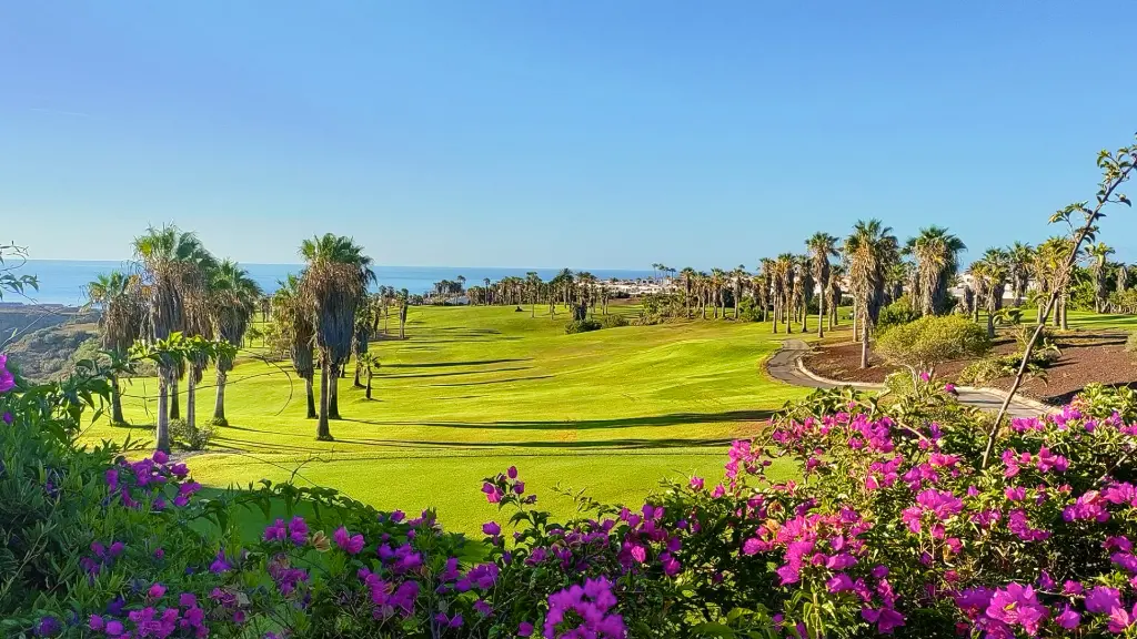 golf-del-sur-31.webp