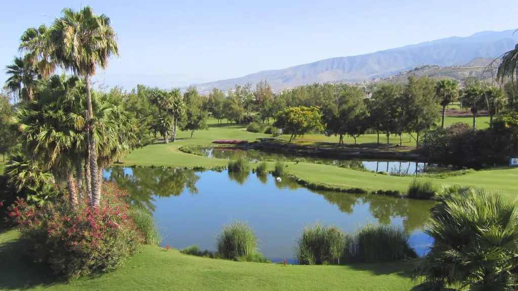 golf-las-americas-29.webp