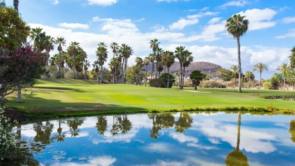 golf-las-americas-19.webp
