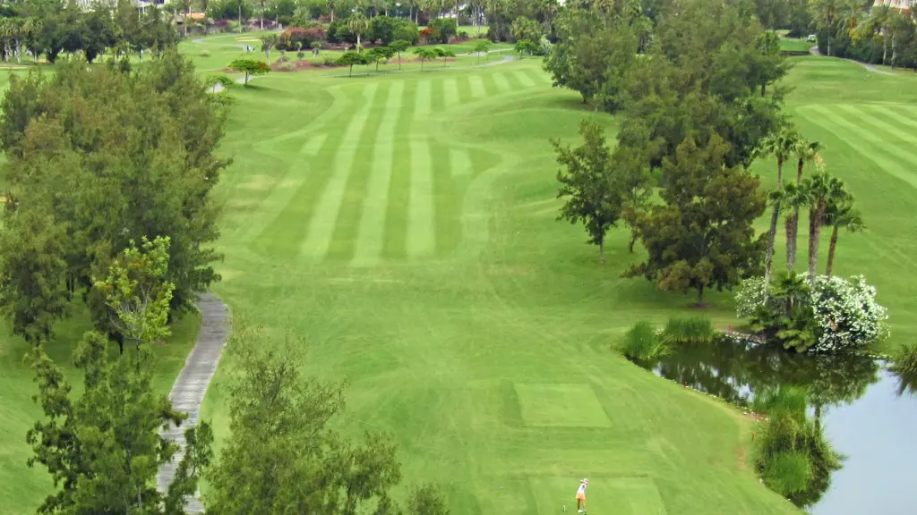 golf-las-americas-2.webp