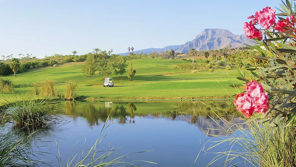 golf-las-americas-21.webp