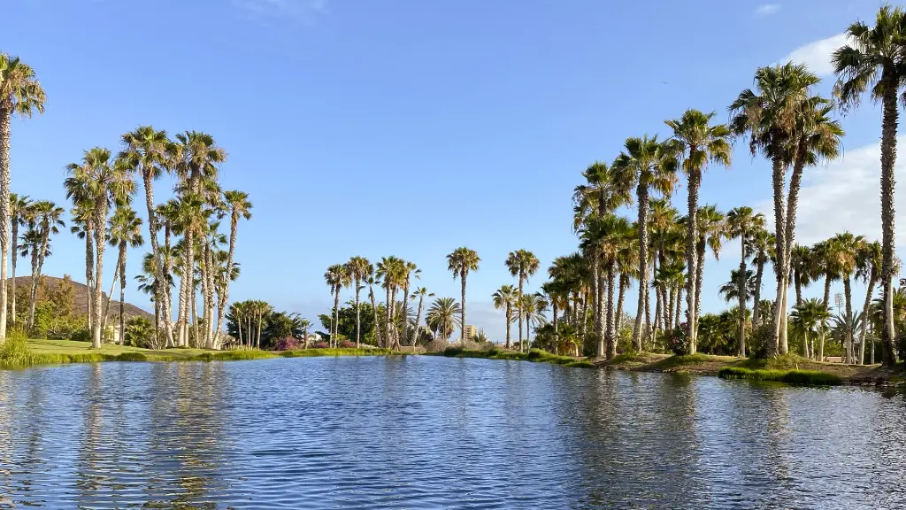 golf-las-americas-27.webp