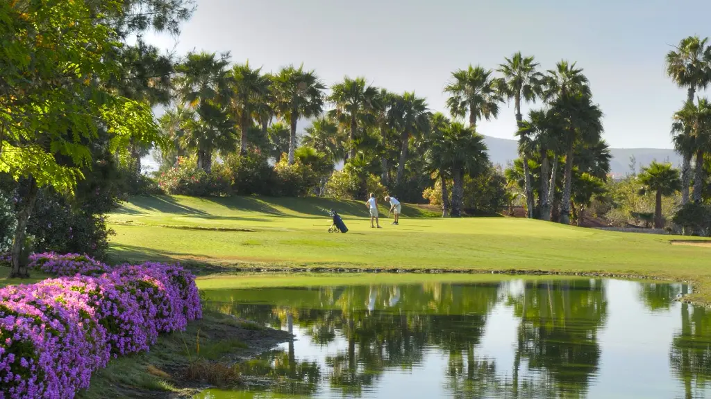 golf-las-americas-28.webp