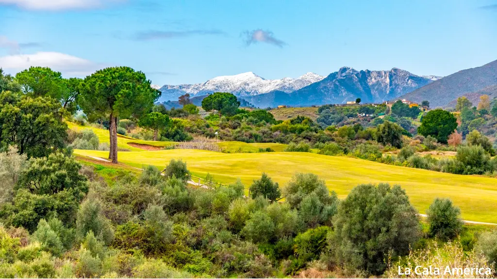 la-cala-amarica-27.webp