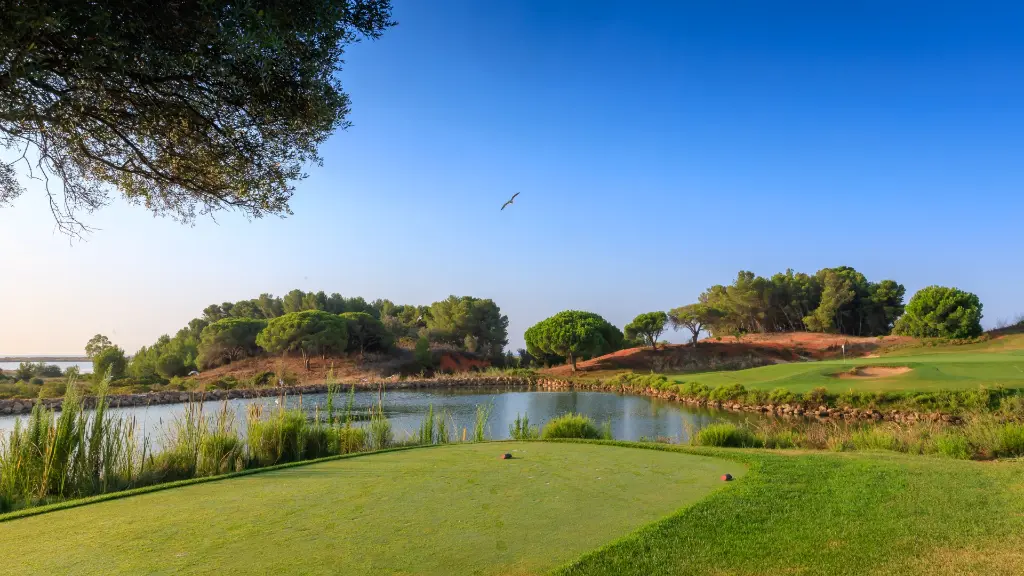 Palmares Golf 22.webp