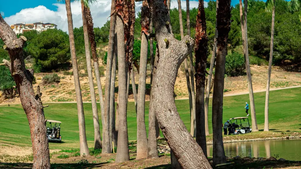 Las-Ramblas-golf-16.webp