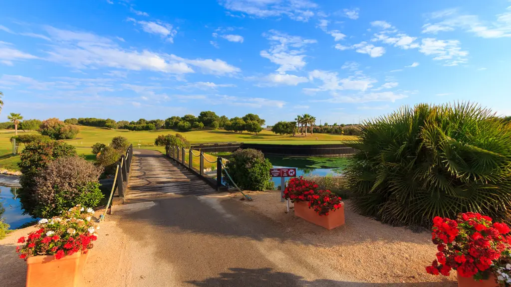 lo-romero-golf-28.webp