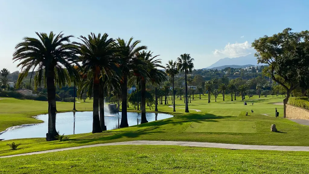 Los-naranjos-golf-14.webp