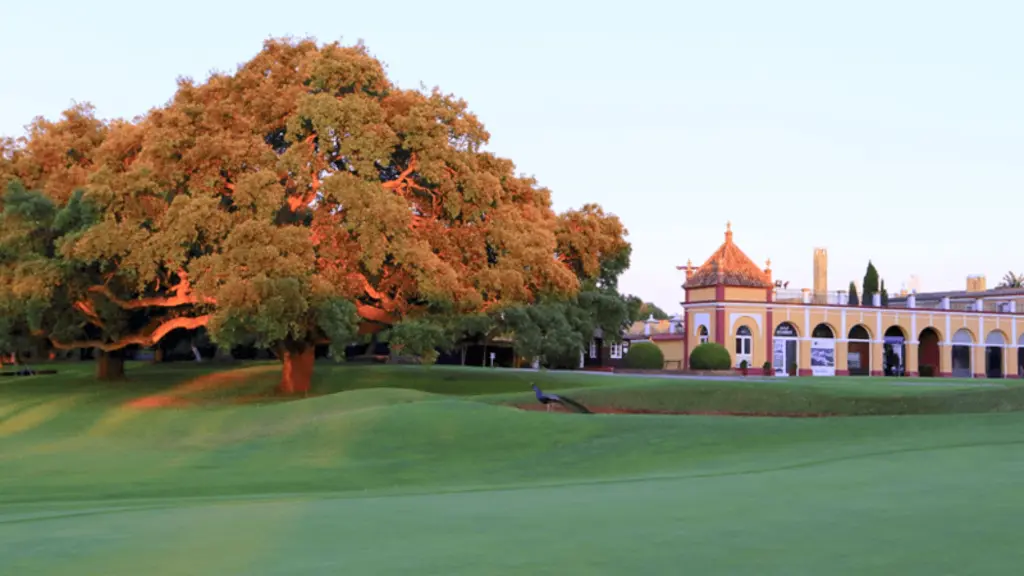 dehesa-montemedio-golf-14.webp