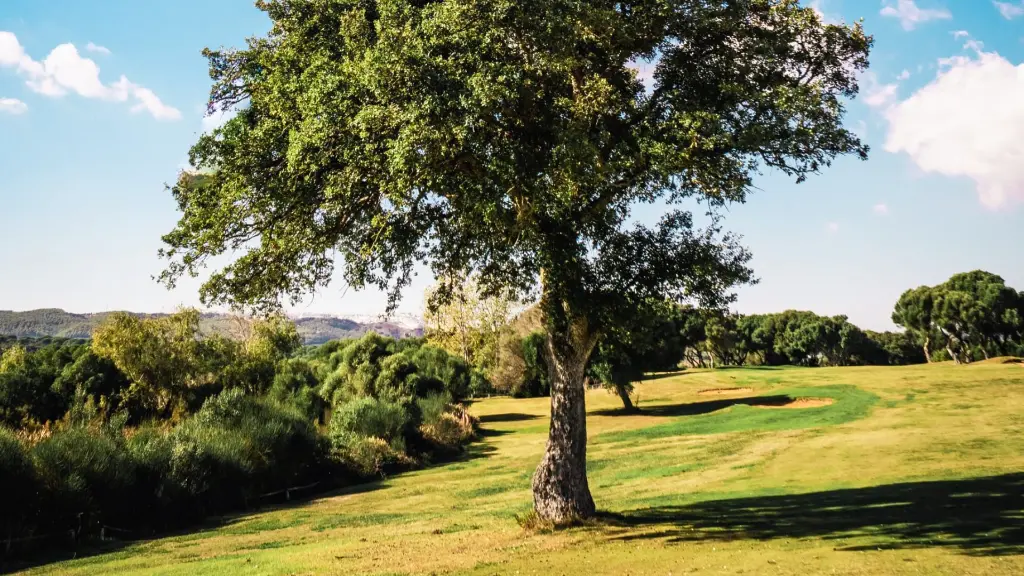 dehesa-montemedio-golf-36.webp