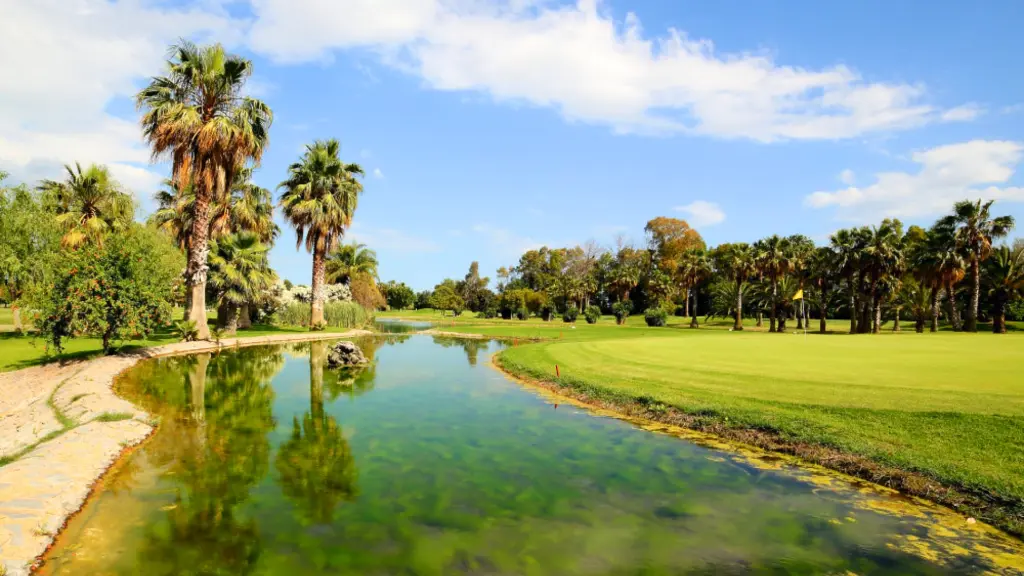 Real-guadalhorce-golf-41.webp