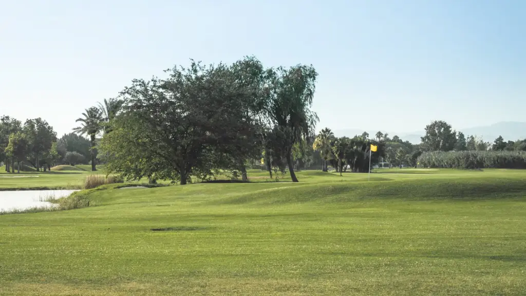 Real-guadalhorce-golf-29.webp
