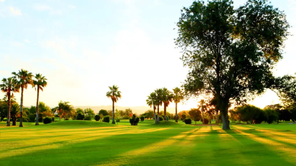 Real-guadalhorce-golf-48.webp