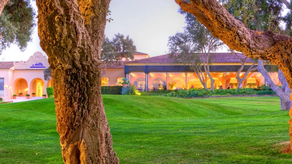 valderama-golf-26.webp