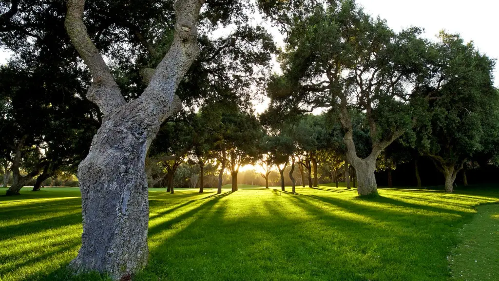valderama-golf-27.webp