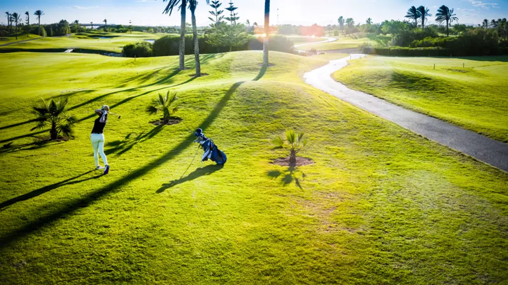 Roda-golf-17.webp