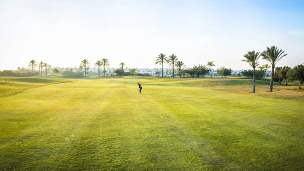 Roda-golf-13.webp