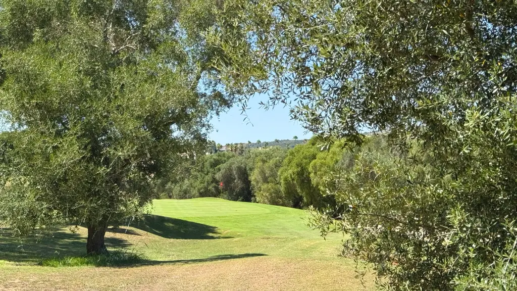 san-roque-golf-new-18.webp