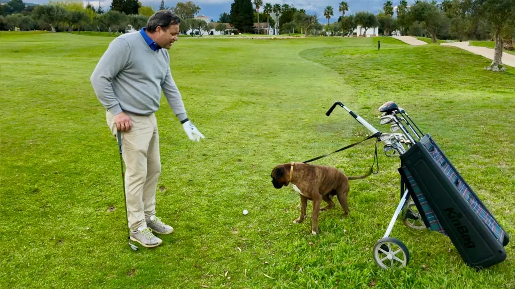 Lauro Golf 47.webp