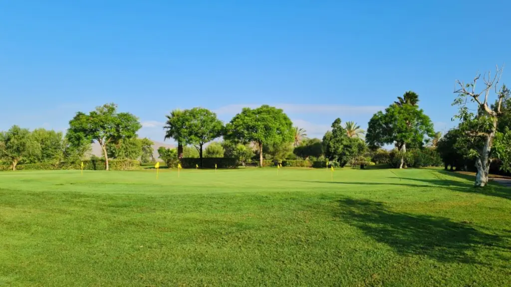 santana-golf-14.webp