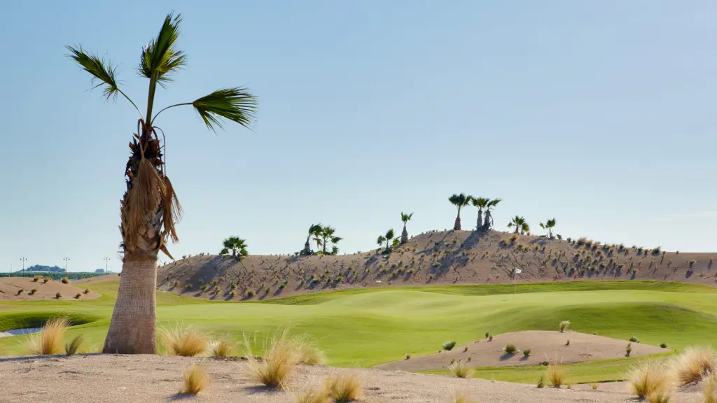 sauines-golf-13.webp