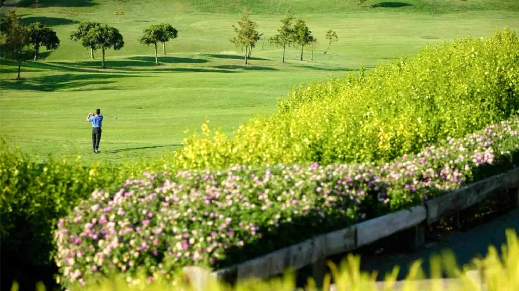 alto-club-golf-4.webp
