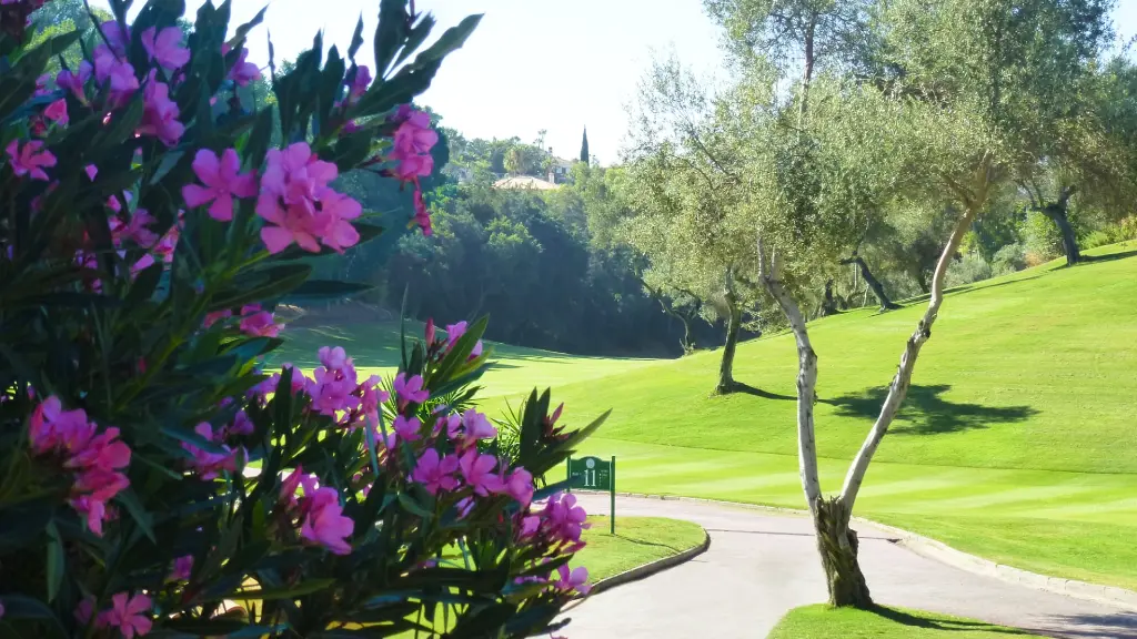 golf-torrequebrada-3.webp