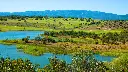 alamos-golf-17.webp