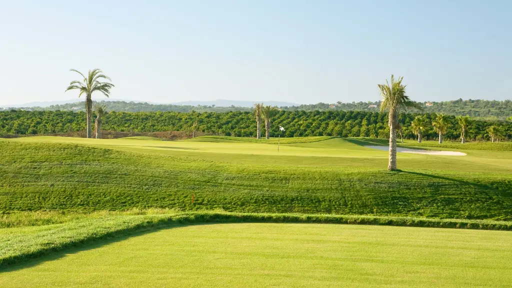 amendoeira-oconnor-golf-18.webp