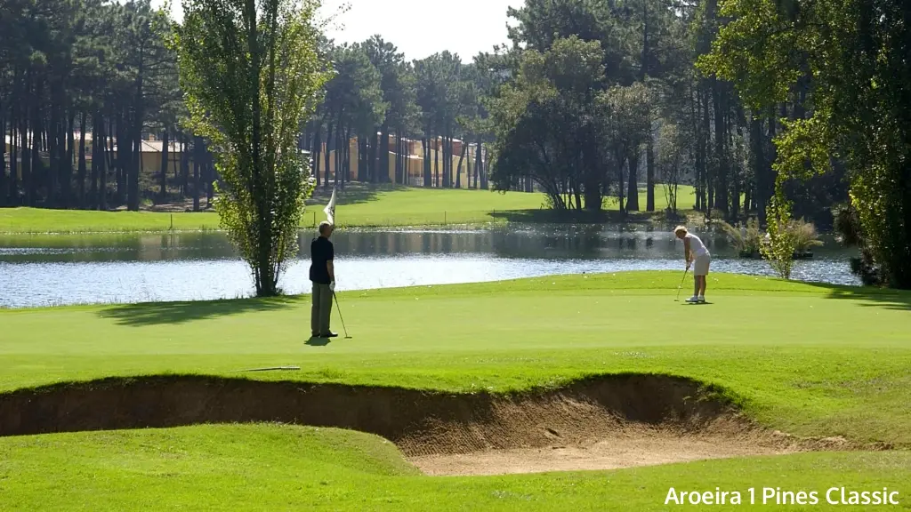aroeira-1-pine-classic-14.webp