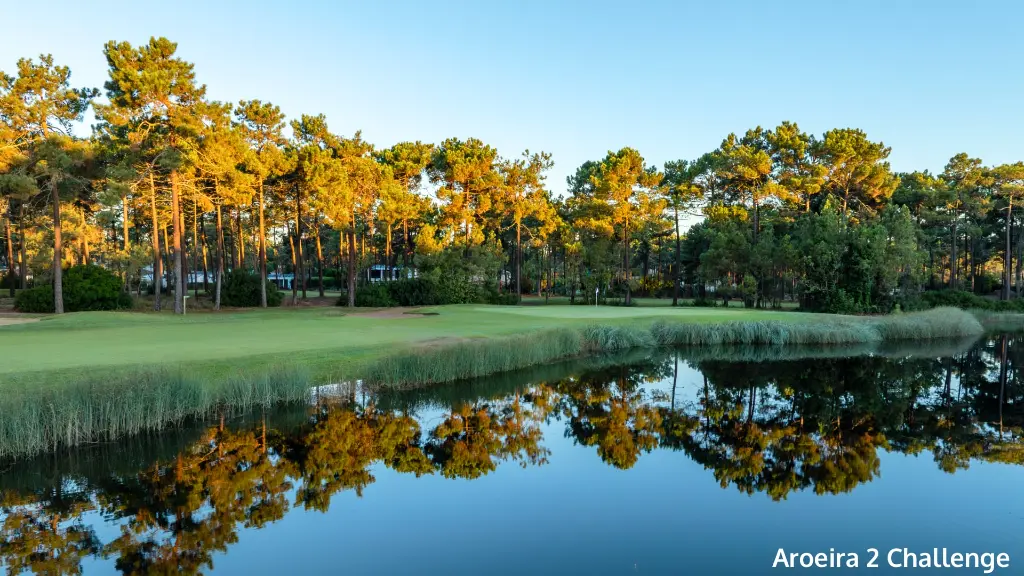 aroeira-2-challenge-10.webp