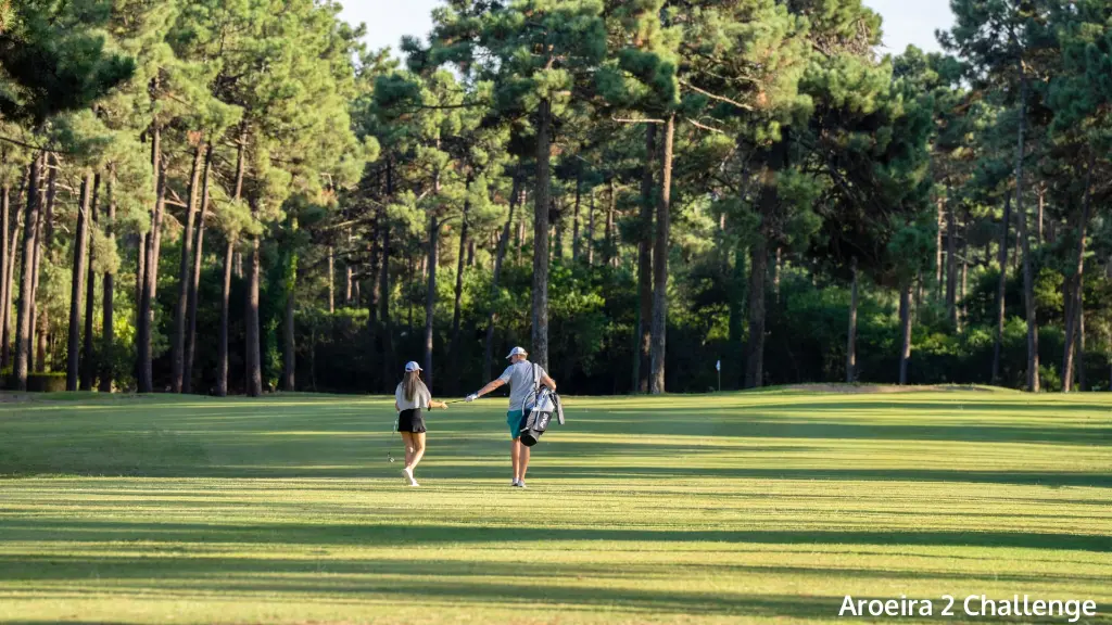 aroeira-2-challenge-7.webp