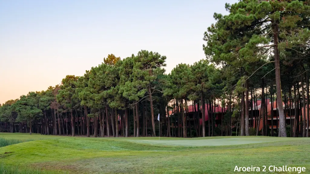 aroeira-2-challenge-9.webp