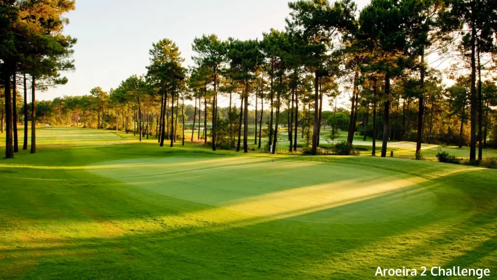 aroeira-2-challenge-16.webp
