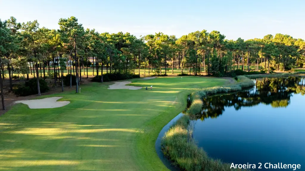 aroeira-2-challenge-2.webp