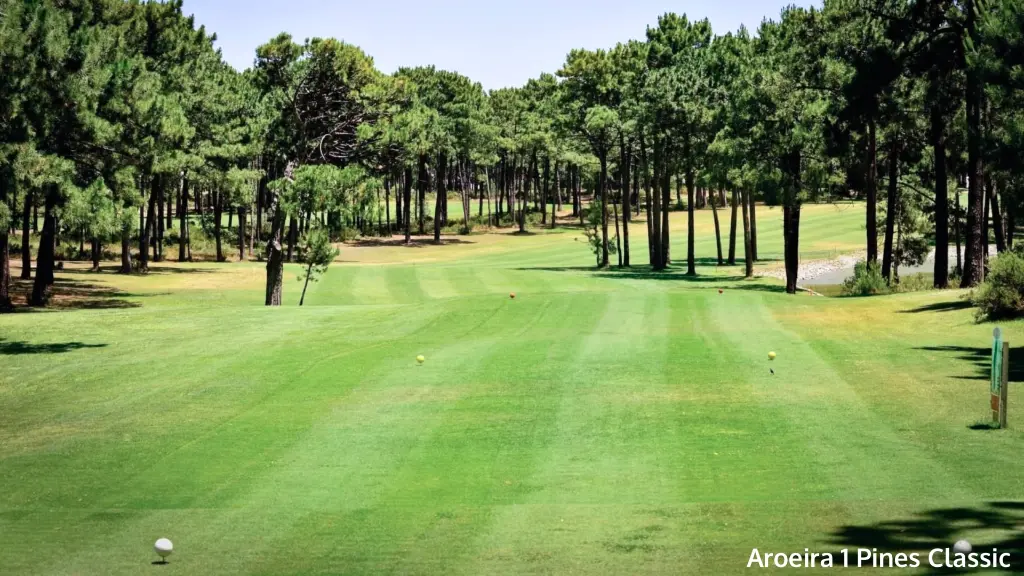 aroeira-1-pine-classic-10.webp