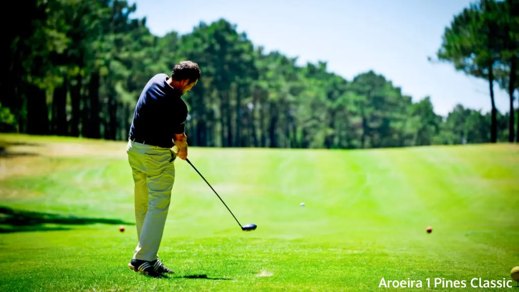 aroeira-1-pine-classic-6.webp