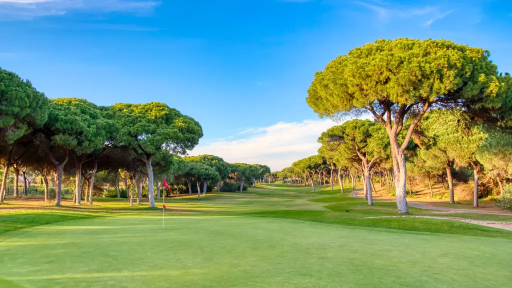 dom-pedro-millennium-golf-7.webp