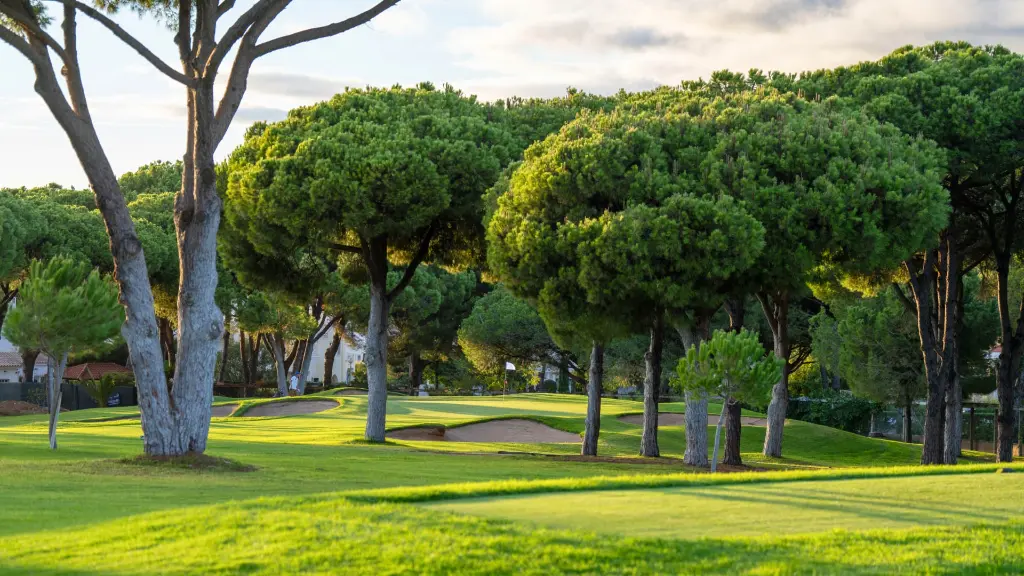 pinhal-golf-vilamoura-37.webp