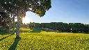 pinhal-golf-vilamoura-1.webp