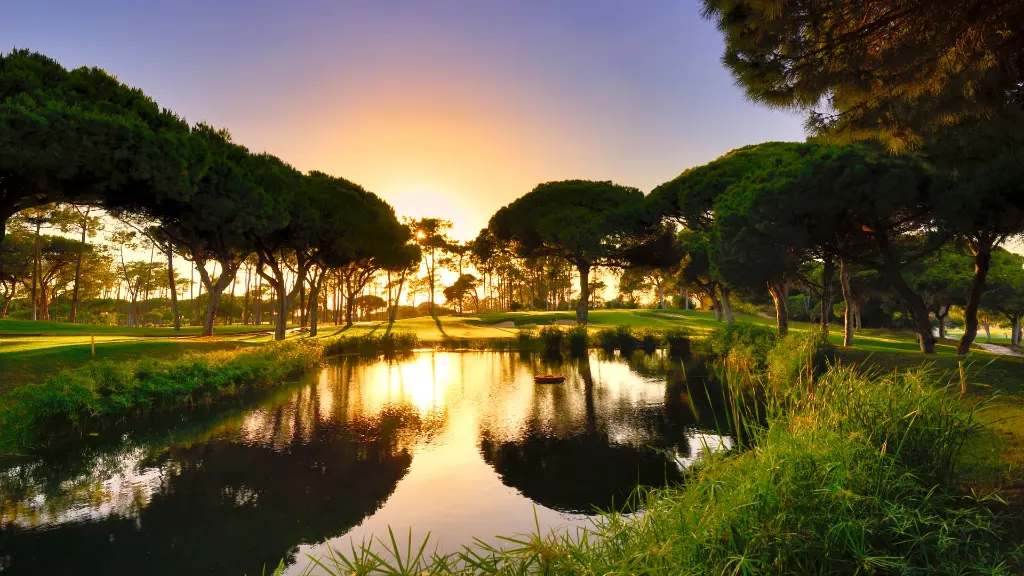 ol-course-vilamoura-24.webp