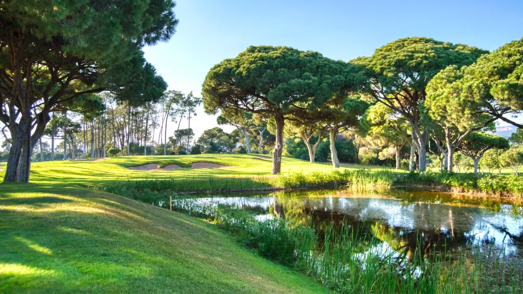 ol-course-vilamoura-26.webp