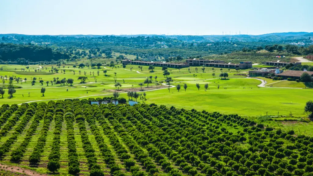 morgado-golf-26.webp